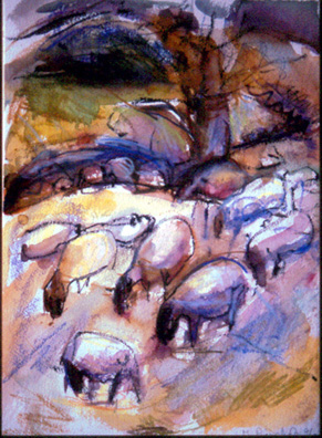 Sheep grazing in Somerset Hills 3